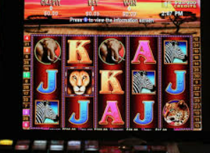 开元国际67ky2024最新版